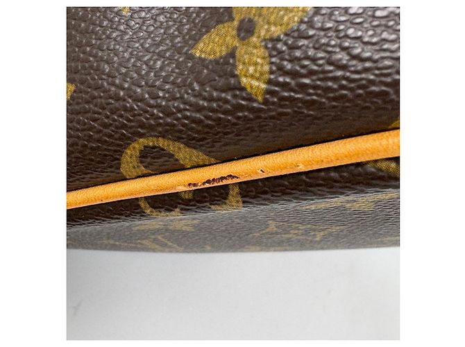 Borsa Tote Palermo PM di Louis Vuitton Marrone - vista 4