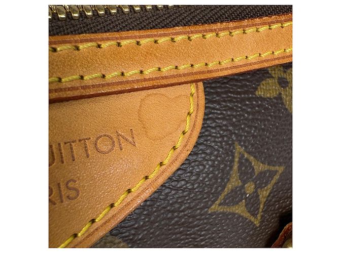 Borsa Tote Palermo PM di Louis Vuitton Marrone - vista 6