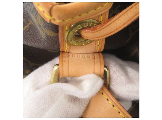 Noe Borsa a Spalla Petit Noé Monogram Louis Vuitton Marrone - vista 10