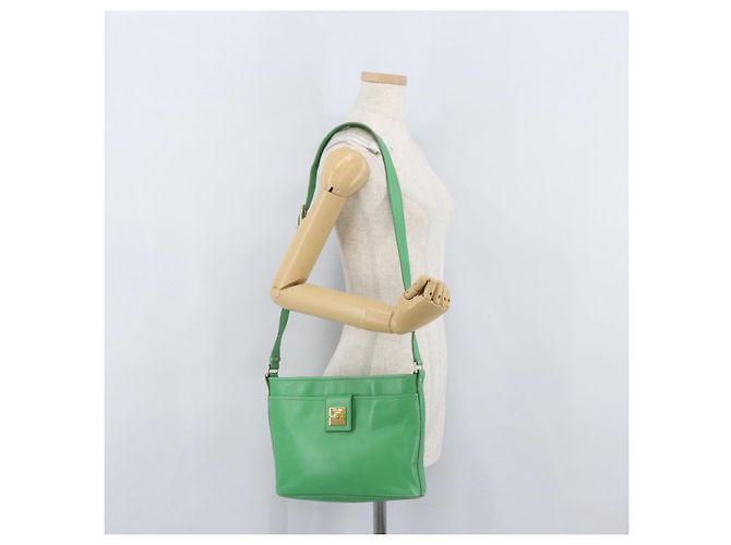 Céline Borsa a Spalla CELINE in Pelle Verde Oro Auth LNZ455A D'oro - vista 24
