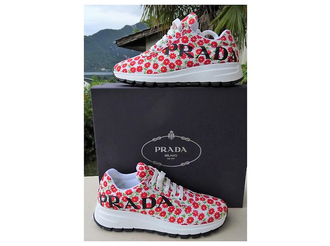 Prada Originali e Nuovi! Sneakers n. 36 Multicolore - vista 2