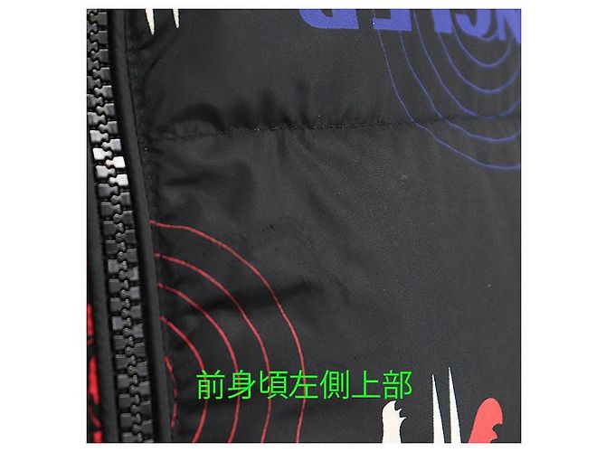Moncler WILSON GIUBBOTTO Chaqueta de Plumas de Nylon Multicolor - vista 3