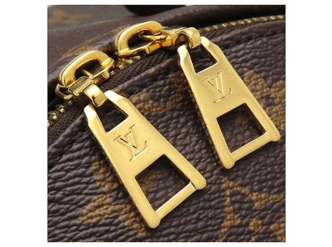 Zaino Palm Springs PM Monogram Reverse Louis Vuitton Marrone Nero - vista 10