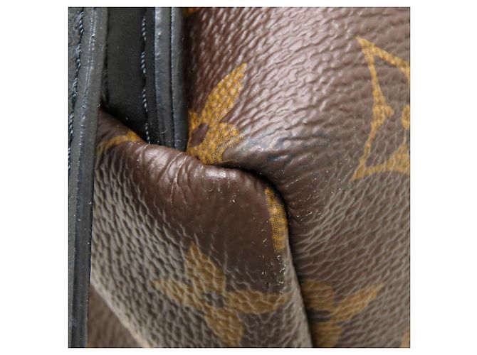 Zaino Palm Springs PM Monogram Reverse Louis Vuitton Marrone Nero - vista 19