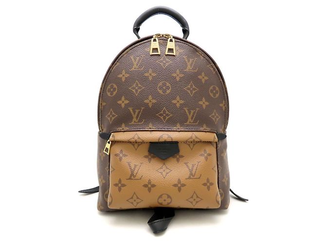 Zaino Palm Springs PM Monogram Reverse Louis Vuitton Marrone Nero - vista 2