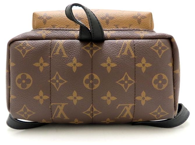Zaino Palm Springs PM Monogram Reverse Louis Vuitton Marrone Nero - vista 4