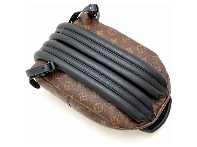 Zaino Palm Springs PM Monogram Reverse Louis Vuitton Marrone Nero - vista 5