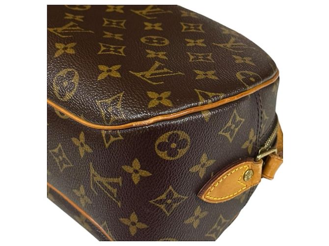 Borsa a Spalla Monogram Blois di Louis Vuitton Marrone Multicolore Monogramma - vista 10