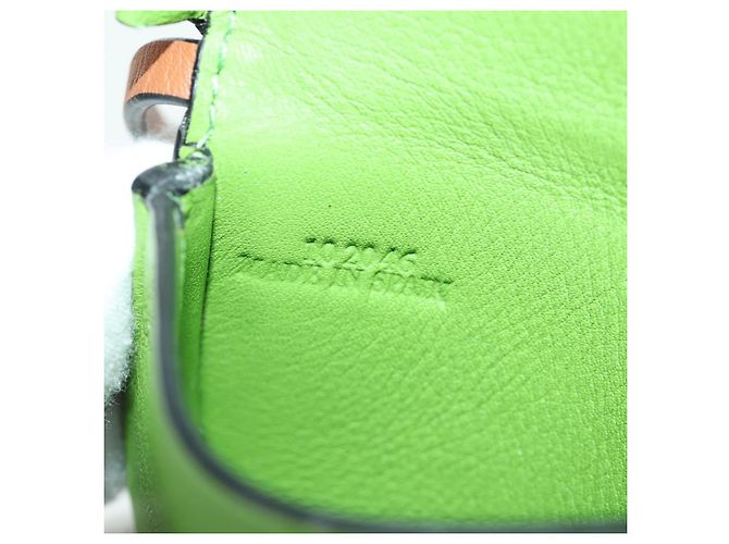 LOEWE Studio Ghibli Il Mio Vicino Totoro Pochette Piccola Totoro Auth 166946SM Verde - vista 11