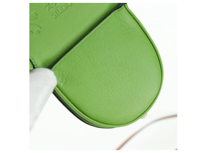 LOEWE Studio Ghibli Il Mio Vicino Totoro Pochette Piccola Totoro Auth 166946SM Verde - vista 20