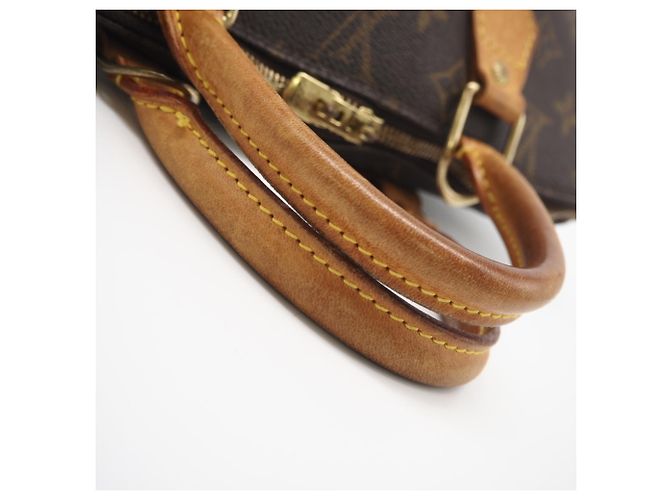 Bolsa de mão Alma PM Monograma Louis Vuitton Marrom - vista 10