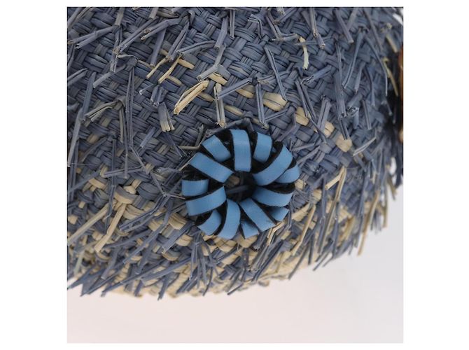 Borsa LOEWE Basket Blow Fish in rafia azzurro chiaro Auth 166244SM Blu chiaro - vista 18
