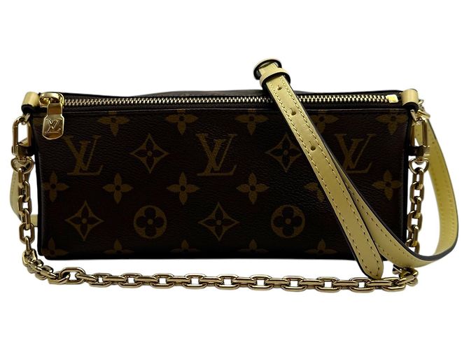 Louis Vuitton Pochette a tracolla Monogram Bloom Marrone - vista 2