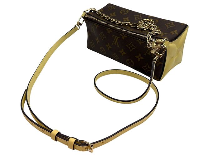Louis Vuitton Pochette a tracolla Monogram Bloom Marrone - vista 7