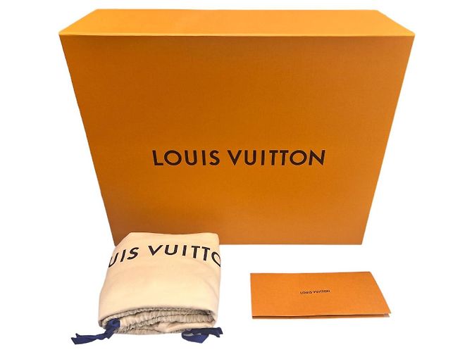 Capucines Louis Vuitton Borsa Tote PM Capucine Taupe Marrone - vista 9