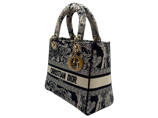 Dior Lady D-Lite Toadjui Reverse Mediano Azul - vista 3