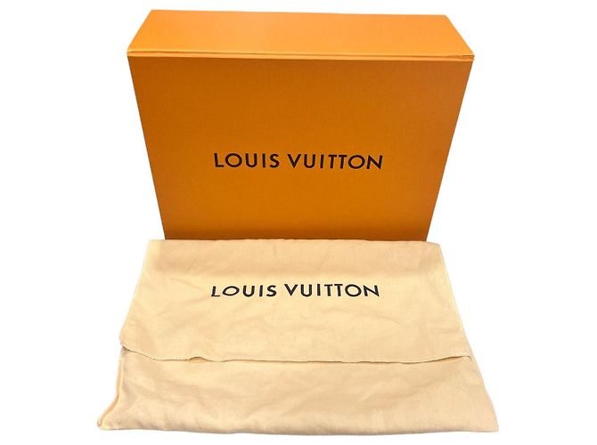 Louis Vuitton Borsa Tote Mini Cluny Quarzo Bianco - vista 9