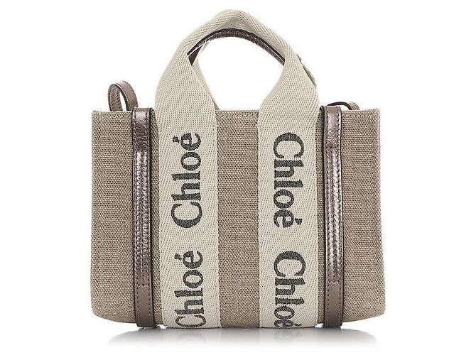Chloé Borsa Tote Mini Lucida Woody Marrone - vista 4