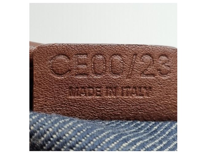Céline Borsa Tote in Denim Canvas Triomphe (Premium, Borsa a Mano) - vista 19