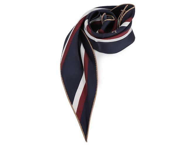 Alexander Mcqueen Seidenschal mit Streifen Blau - Ansicht 4