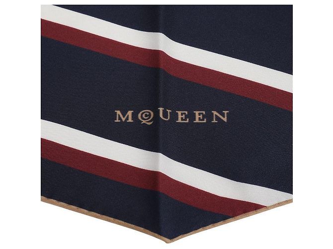 Alexander Mcqueen Seidenschal mit Streifen Blau - Ansicht 8