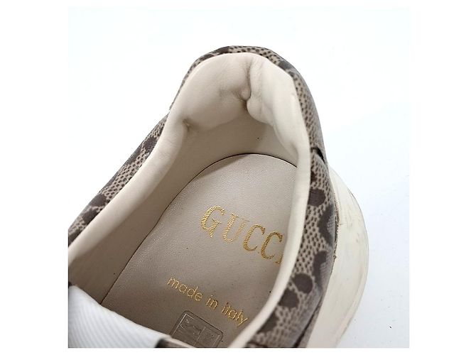 Sneakers Rijton Gucci Marrone - vista 6