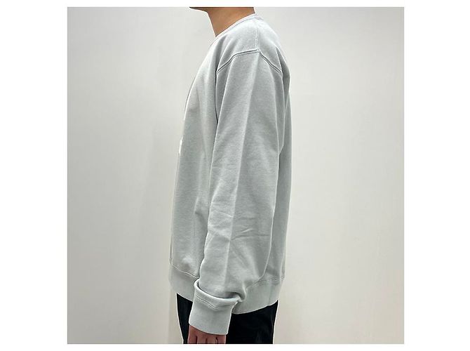 Isabel Marant MIKOY Samt-Logo-Sweatshirt Hellblau Ecru LUEC - Ansicht 12
