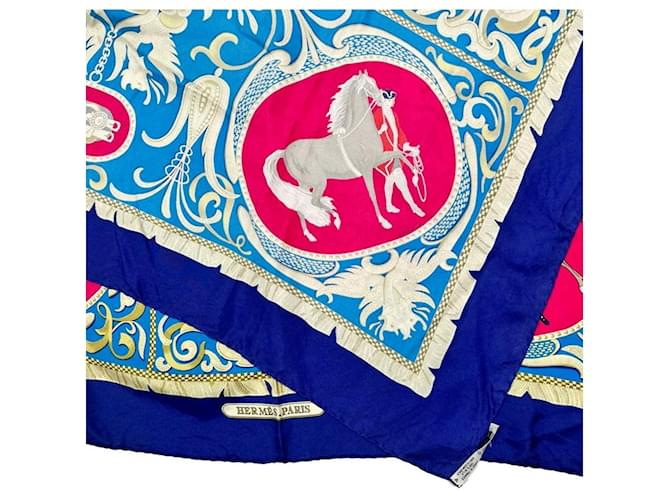 Hermès Sciarpa Equestre Blu - vista 5