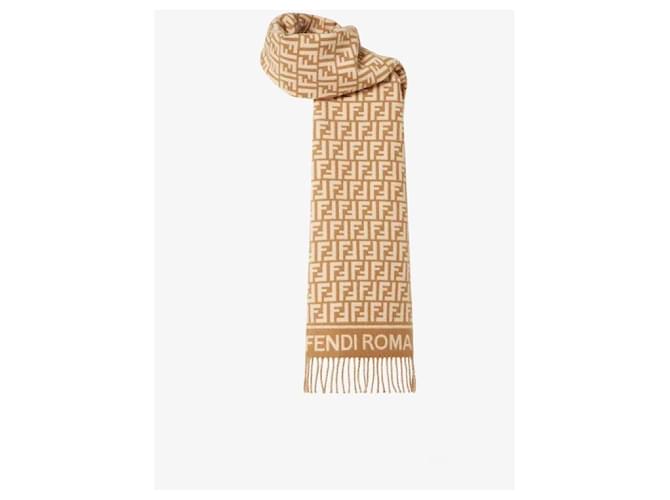 Fendi Sciarpa in cashmere AQCW Marrone - vista 6