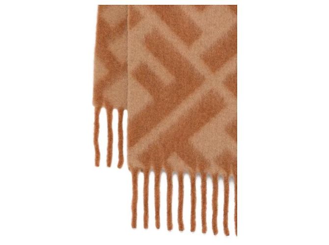 Fendi Écharpe FF AYKQ - vue 5
