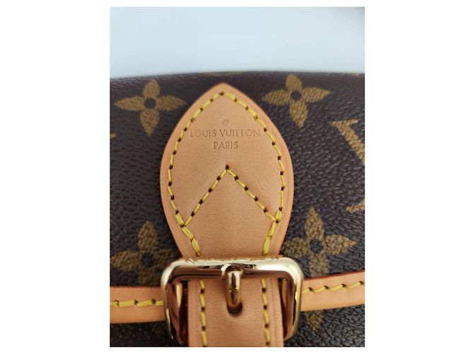 Louis Vuitton Borsa a tracolla Nano Diane Multicolore - vista 12