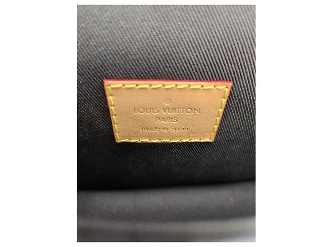 Louis Vuitton Borsa a tracolla Nano Diane Multicolore - vista 13