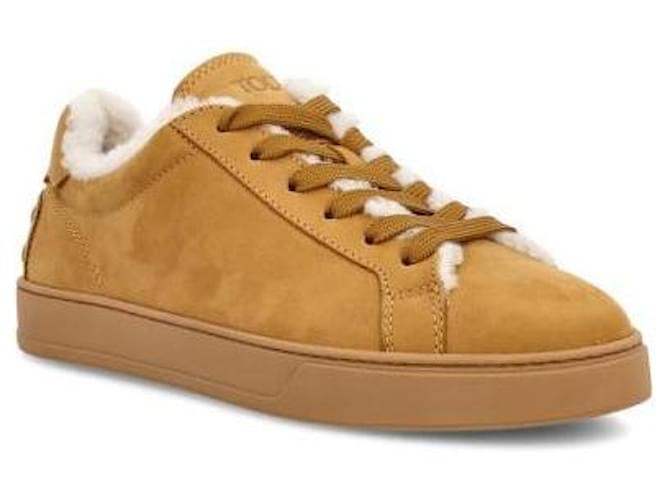 Tod's Sneaker Braun - Ansicht 4
