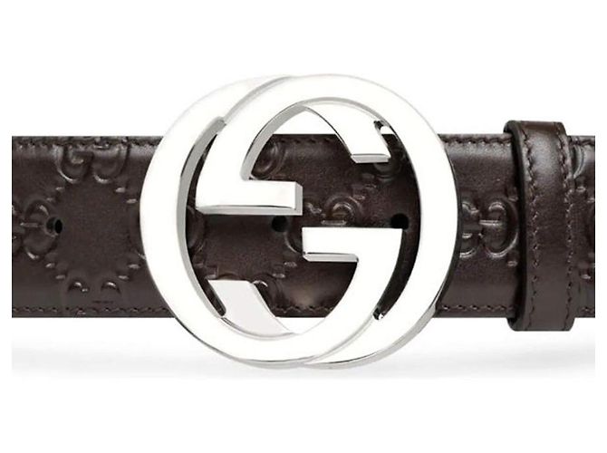 Gucci Signature Buckle Cima Belt Chocolate Silvery - view 5