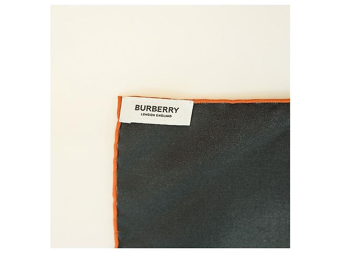 Burberry Bufanda de seda con estampado negro - vista 17