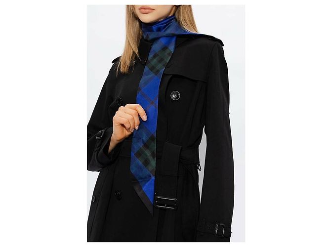 Burberry Bufanda de seda a rayas delgadas Azul - vista 5