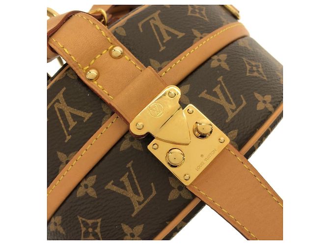 Borsa Petite Boite Chapeau Monogramma Louis Vuitton Marrone - vista 4
