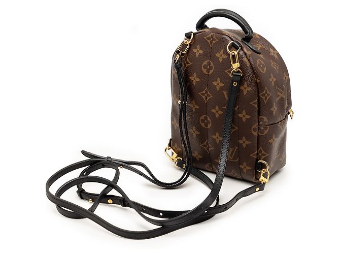 Mini Palm Springs Monogram Marron Louis Vuitton - vue 2