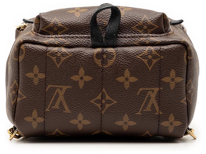 Mini Palm Springs Monogram Marron Louis Vuitton - vue 3