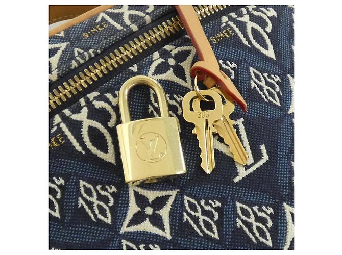 Borsa a mano Vanity Louis Vuitton SINCE1854 Blu - vista 4