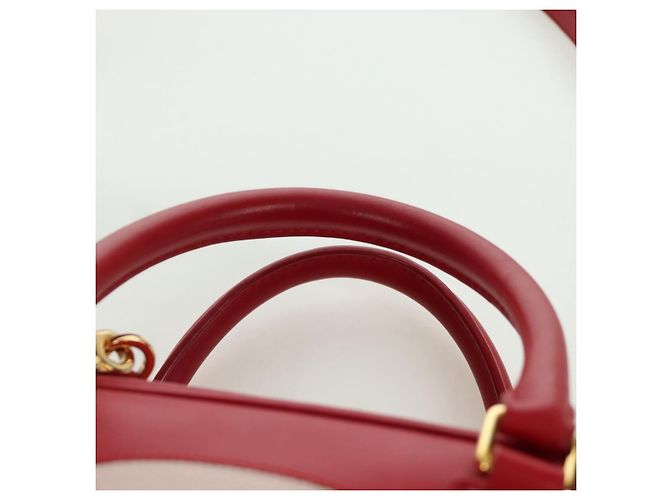 LOEWE - Amazona 21 Tasche aus rotem Leder Spirited Away von Studio Ghibli Auth 166973SM Golden - Ansicht 14
