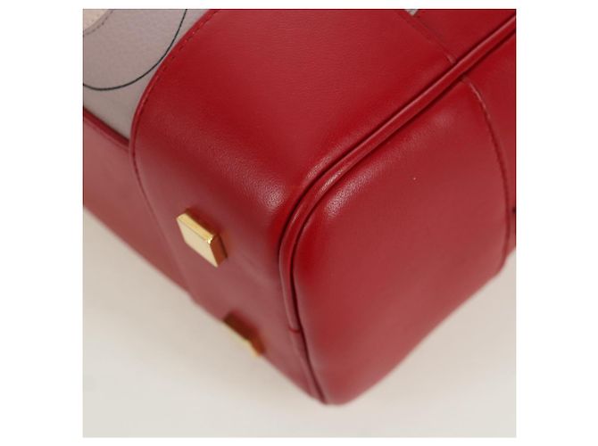 LOEWE - Amazona 21 Tasche aus rotem Leder Spirited Away von Studio Ghibli Auth 166973SM Golden - Ansicht 16