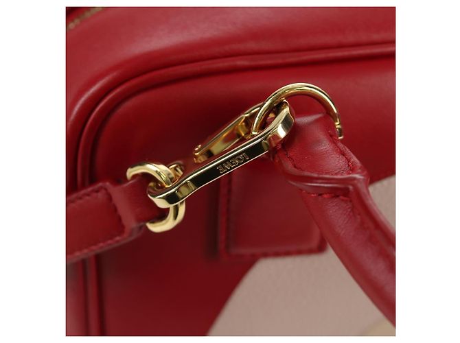 LOEWE - Amazona 21 Tasche aus rotem Leder Spirited Away von Studio Ghibli Auth 166973SM Golden - Ansicht 20