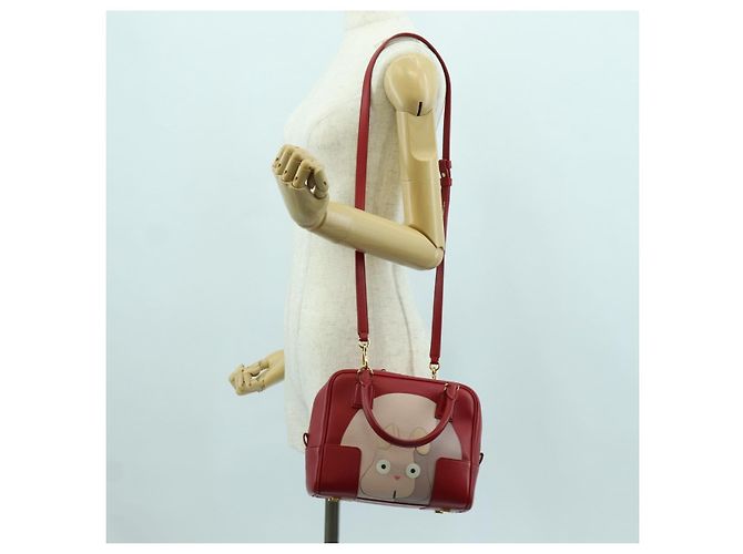 LOEWE - Amazona 21 Tasche aus rotem Leder Spirited Away von Studio Ghibli Auth 166973SM Golden - Ansicht 28