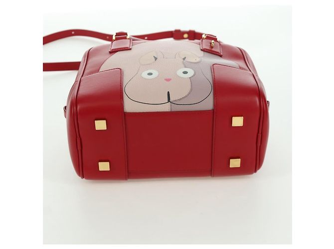 LOEWE - Amazona 21 Tasche aus rotem Leder Spirited Away von Studio Ghibli Auth 166973SM Golden - Ansicht 5