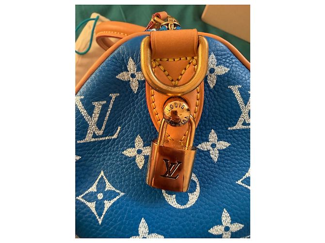 Louis Vuitton Speedy P9 Bandoulière 25 Monogram Blu Pelle - vista 7