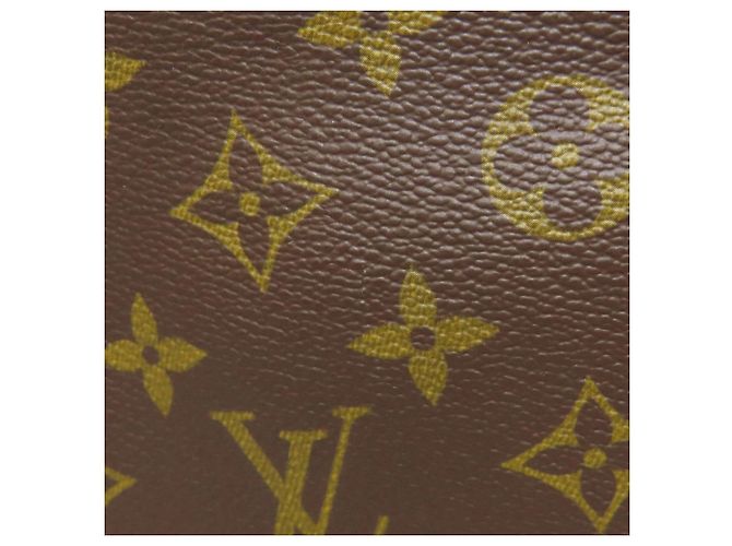Borsa Alma Louis Vuitton Marrone - vista 12