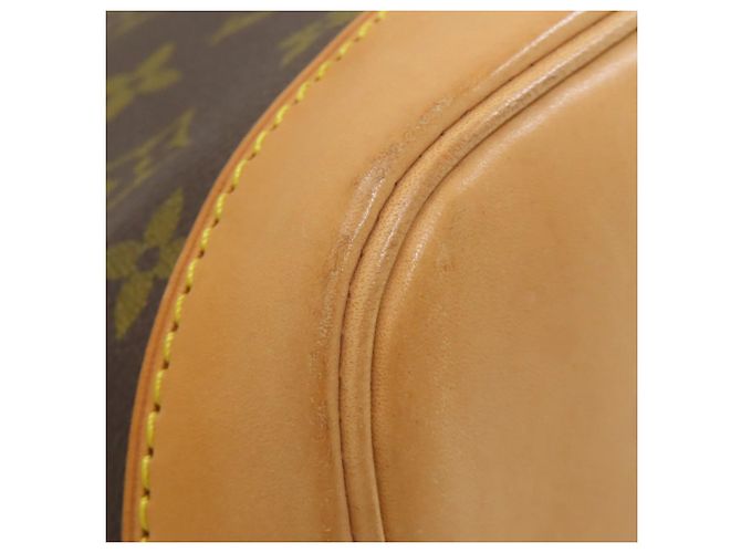 Borsa Alma Louis Vuitton Marrone - vista 22