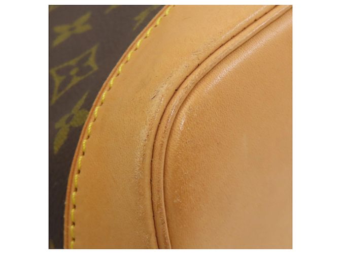 Borsa Alma Louis Vuitton Marrone - vista 24