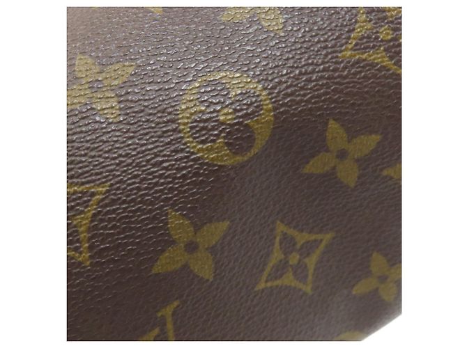 Borsa a mano Papillon 26 Monogram Louis Vuitton Marrone Monogramma - vista 13